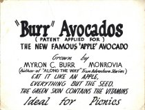 Myron Burr's Apple Avocado